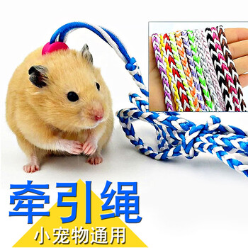 茨格曼 仓鼠牵引绳子松鼠荷兰猪牵引绳遛鼠绳溜兔绳魔王金丝熊刺猬用品其它类商品-全利兔-实时优惠快报