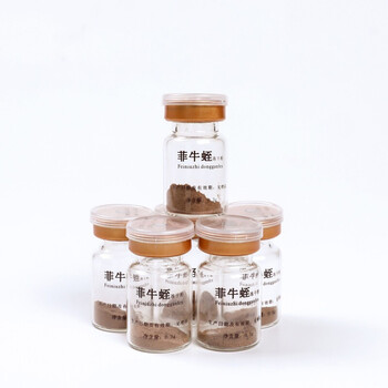 高纯度菲牛蛭冻干粉高含量牛蛭素牛蛭粉蚂蟥素胶囊蛭肽素 一盒 6瓶