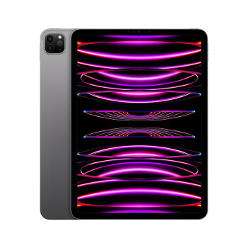 Apple/ƻŻݡiPad Pro 11Ӣ 2022(512G WLAN/M2оƬ/MNXH3CH/A)ջɫ