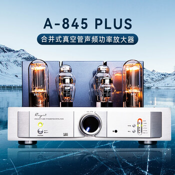 凯音（Cayin） Cayin A-845PLUS凯音斯巴克hifi胆机电子管功放发烧家用功率放大器 A-845 PLUS