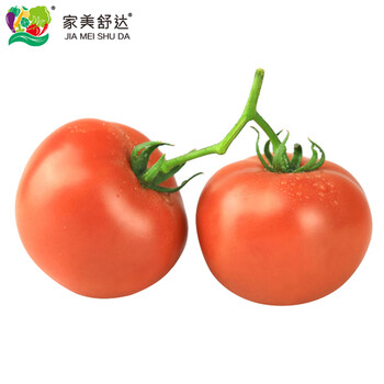 家美舒达 山东特产 草莓西红柿 1kg 番茄 健康轻食 新鲜蔬菜全利兔-实时优惠快报