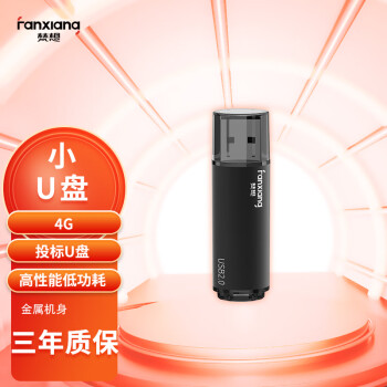 梵想（FANXIANG）4GB USB2.0 投标u盘 F202-2 公司企业竞标专业招标优盘  电脑车载两用U盘 黑色