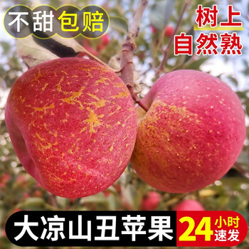 20点开始：正鲜季 大凉山丑苹果 3斤中果（单果65-70mm）全利兔-实时优惠快报