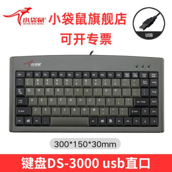 СDS-3000ʼǱ88ҵػר߳רҵСװusb/psӿ DS-3000(USBӿ)