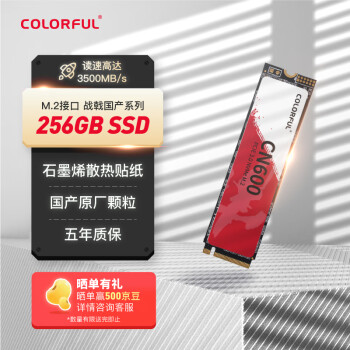 七彩虹(Colorful) 256GB SSD固态硬盘 M.2接口(NVMe协议) 国产颗粒 战戟国产系列 读速高达3500MB/s 五年质保