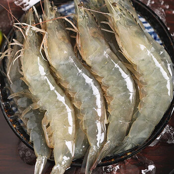 澳角大厝 青岛大虾鲜活急冻 单只15-18 净重375g食品类商品-全利兔-实时优惠快报