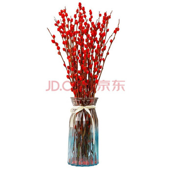 致荟树 红色银柳 80cm 10枝其它类商品-全利兔-实时优惠快报