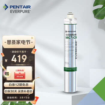 爱惠浦（Everpure）MC2净水器  厨房餐饮用水过滤器滤芯