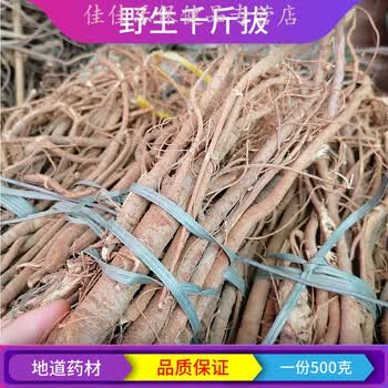 中药材千斤拨千金拔 一条根 老鼠尾 吊马桩 金牛尾 500g