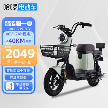 电动车锂电池_棒途哈啰 QQ 新国标锂电电动车 棒途TDT-172Z