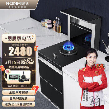 荣飞(RONGFEI) 集成灶一体灶式单眼小户型单灶500MM 消毒柜油烟机燃气灶三合一 液化气 Y50D