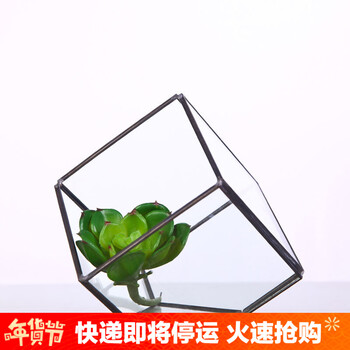 
                                        贝汉美几何玻璃罩摆件玻璃花房咖啡厅客厅家居装饰摆设K14 花草集+仿真宝石连                