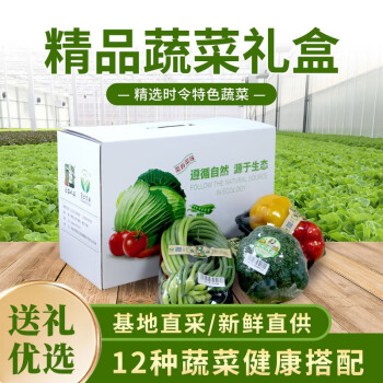 密农人家新鲜时令蔬菜礼盒 蔬菜组合 12种蔬菜搭配 农家菜 精美礼盒 10斤