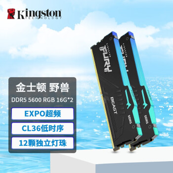 ʿ٣Kingston FURY ̨ʽڴ BeastҰϵ DDR5ڴ DDR5 5600Ƶ Ұޡ羺RGB 32G(16G*2)