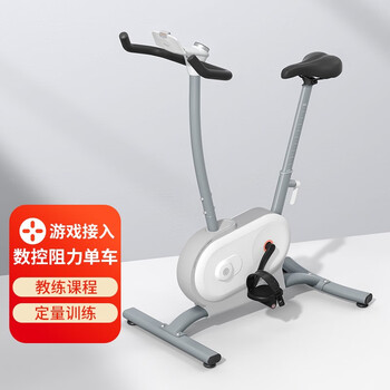 NEXGIM AI功率健身车 室内动感单车静音室内暴汗骑行运动 智能电磁控脚踏车家用有氧健身器材 白色