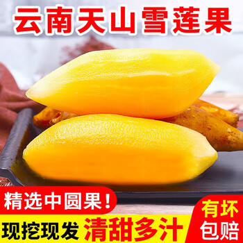 言片光 云南天山雪莲果净重5斤装【精选装】单果130g+食品类商品-全利兔-实时优惠快报