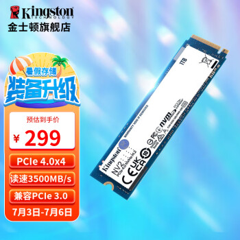 金士顿（Kingston）SSD m2固态硬盘 台式机笔记本 (M.2接口 NVMe协议)  NV2 1000G即1t 性价比PCIe 4.0