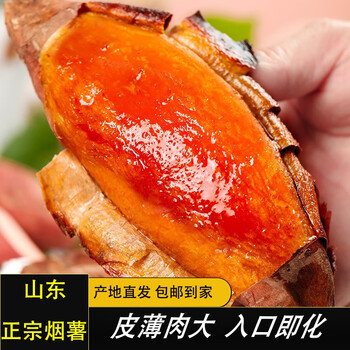 鲁禧 山东烟薯25号 烤薯专用 中果3斤装食品类商品-全利兔-实时优惠快报