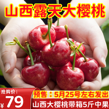 飘香果度山西露天大樱桃国产车厘子孕妇水果时令生鲜 带箱5斤中果【5.25左右发货】