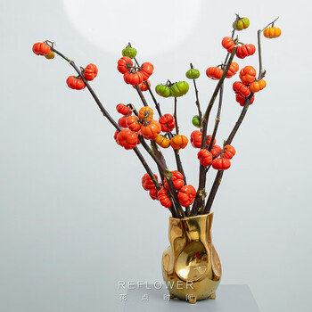 花点时间 灯笼小南瓜切枝1扎（3-5枝）全利兔-实时优惠快报