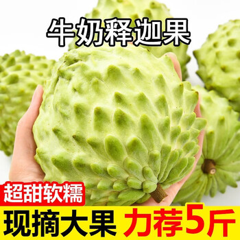 智洲 牛奶凤梨释迦果 大果5斤装全利兔-实时优惠快报