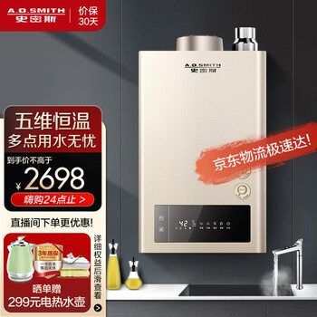 AO史密斯 燃气热水器13升 家用 精控恒温 健康洗 13TMA 以旧换新服务 全屋多点供水 天然气 13升