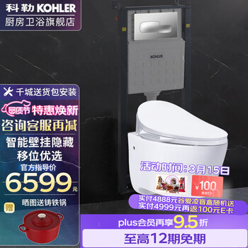 科勒 KOHLER智能壁挂式马桶挂墙坐便器水箱嵌入式墙排直冲马桶马桶座便器K-25255 25255T-BW-0+气动面板+18659-0