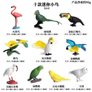 Oenux仿真野生动物家禽海洋模型小昆虫恐龙独角兽玩具摆件 M4131小鸟10款套装