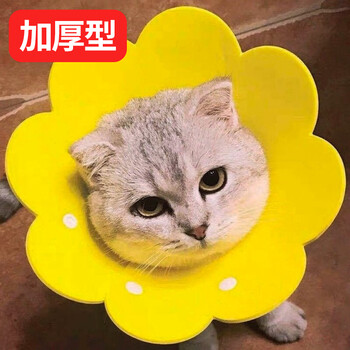 京东PLUS：Huan Chong 欢宠网 伊丽莎白圈 黄色 M其它类商品-全利兔-实时优惠快报