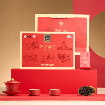 海堤中茶海堤茶叶 乌龙茶岩茶大红袍礼盒礼品送长辈印象系列中火160g