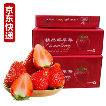 四川大凉山草莓 红颜草莓 鲜草莓 新鲜水果 净重3斤中果礼盒装单果13-18g
