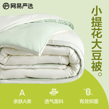 YANXUAN 网易严选 A类抗菌四季被家具家装类商品-全利兔-实时优惠快报