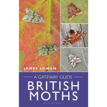 moths, 《预订 british moths: a gateway guide》【摘要 书评 试读】- 京东