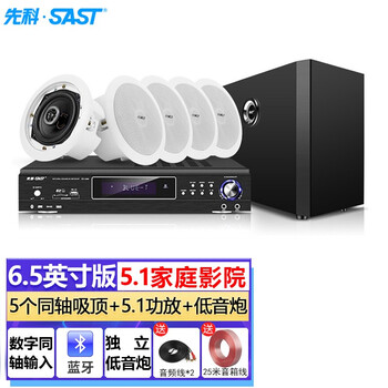 先科（SAST）客厅环绕吸顶音响套装 家庭影院ktv重低音同轴喇叭有线音箱蓝牙功放机吊顶天花镶入式 6.5英寸家影套装(5.1)