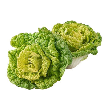 新鲜霜冻黄心菜农家黄心乌塌菜青菜黑白菜火锅蔬菜1斤