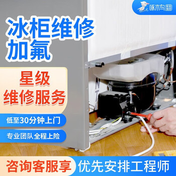 啄木鸟家庭维修 啄木鸟家电维修冰柜冰箱维修上门服务预付款漏水不制冷不结冰全国服务 冰柜维修全利兔-实时优惠快报