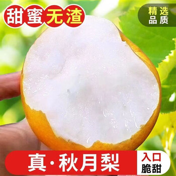 蜜企味 正宗山东秋月梨 现摘现发爆汁 5斤装 6-9个左右食品类商品-全利兔-实时优惠快报
