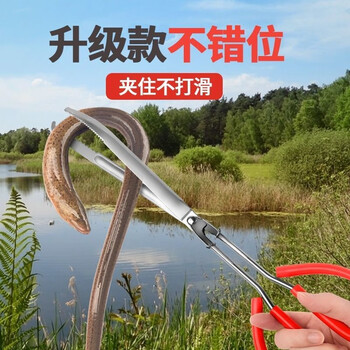 照战黄鳝夹子加厚加长防滑鳝鱼夹不锈钢抓螃蟹泥鳅钳子赶海长鱼捕捉器