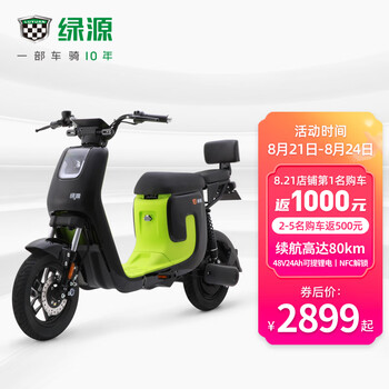 电动车电瓶车_LUYUAN 绿源 K5 新国标电动车