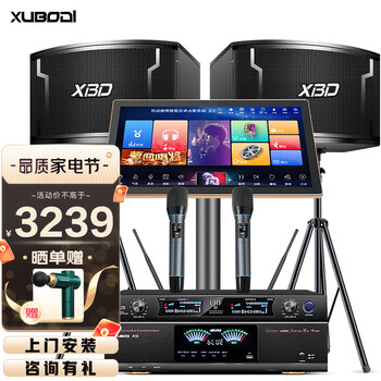 【万元音效】炫宝迪 家庭影院KTV音响套装点歌机一体机卡拉ok点唱机家用点歌台大型演出会议室音箱 【内置5万首歌曲】影K双系统2TB
