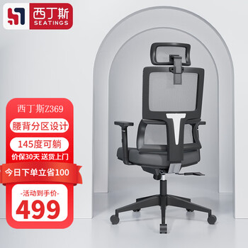 SEATINGS 西丁斯 Z369 人体工学椅 升降转椅座椅可躺 黑色网布（腰背分区+145度可躺）家具家装类商品-全利兔-实时优惠快报