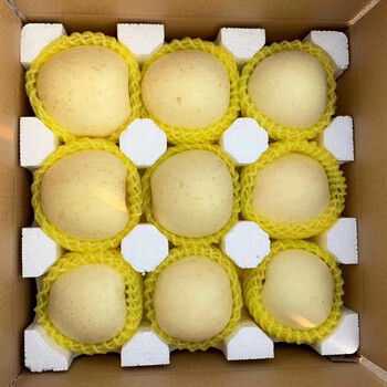 乌岽山 正宗山东奶油富士苹果 5斤食品类商品-全利兔-实时优惠快报