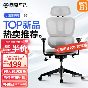 YANXUAN 网易严选 小蛮腰S5 双背人体工学椅转椅 灰色 无脚踏家具家装类商品-全利兔-实时优惠快报
