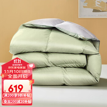 京东PLUS：FUANNA 富安娜 白鸭绒羽绒冬被 152*210cm全利兔-实时优惠快报