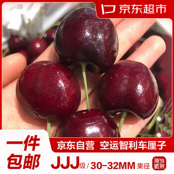 京东超市 海外直采智利进口车厘子巨无霸JJJ级 450g装 果径约30-32mm