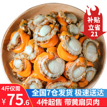 京东百亿补贴:优牧冠 冷冻扇贝肉500g袋装 全利兔-实时优惠快报