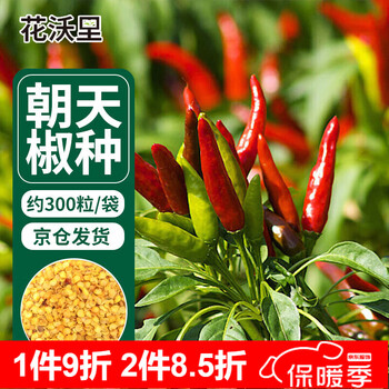 花沃里 朝天椒种子约300粒/袋 蔬菜种子红辣椒家庭阳台盆栽/庭院/田间全利兔-实时优惠快报