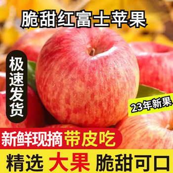 晟容果蔬山西红富士苹果5斤中果 单果70mm+ 富士苹果示范园全利兔-实时优惠快报
