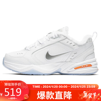 ͿNIKEѵЬAIR MONARCH IV PREMIUM˶ЬAV6676-10042.5