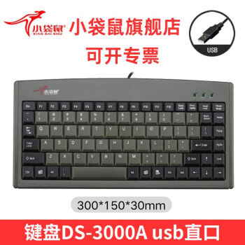 СDS-3000ʼǱ88ҵػר߳רҵСװusb/psӿ DS-3000A(USBӿ)